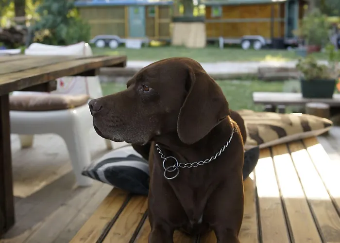 Szálloda Dane Gokova 3*