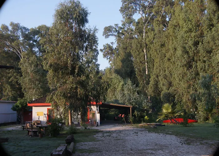 Dane Gokova Akcapinar (Mugla)