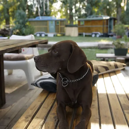 Hotel Dane Gokova 3*